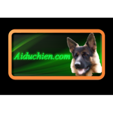 Logo-aiduchien-aiduchien.com